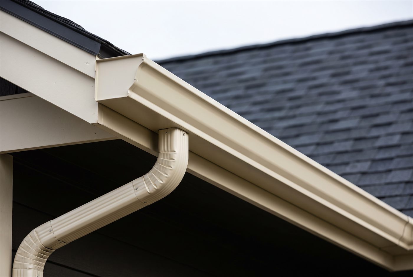 A clean cream seamless gutter and downspout elbow running along the eave of a dark shingle roof